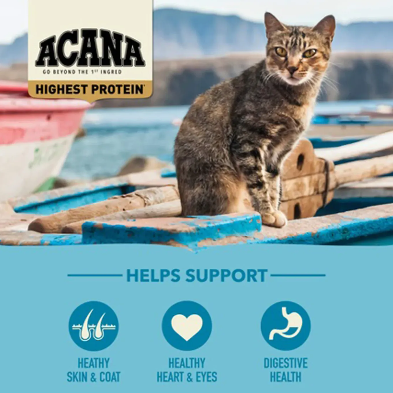 ACANA Regionals Grain-Free Dry Cat Food