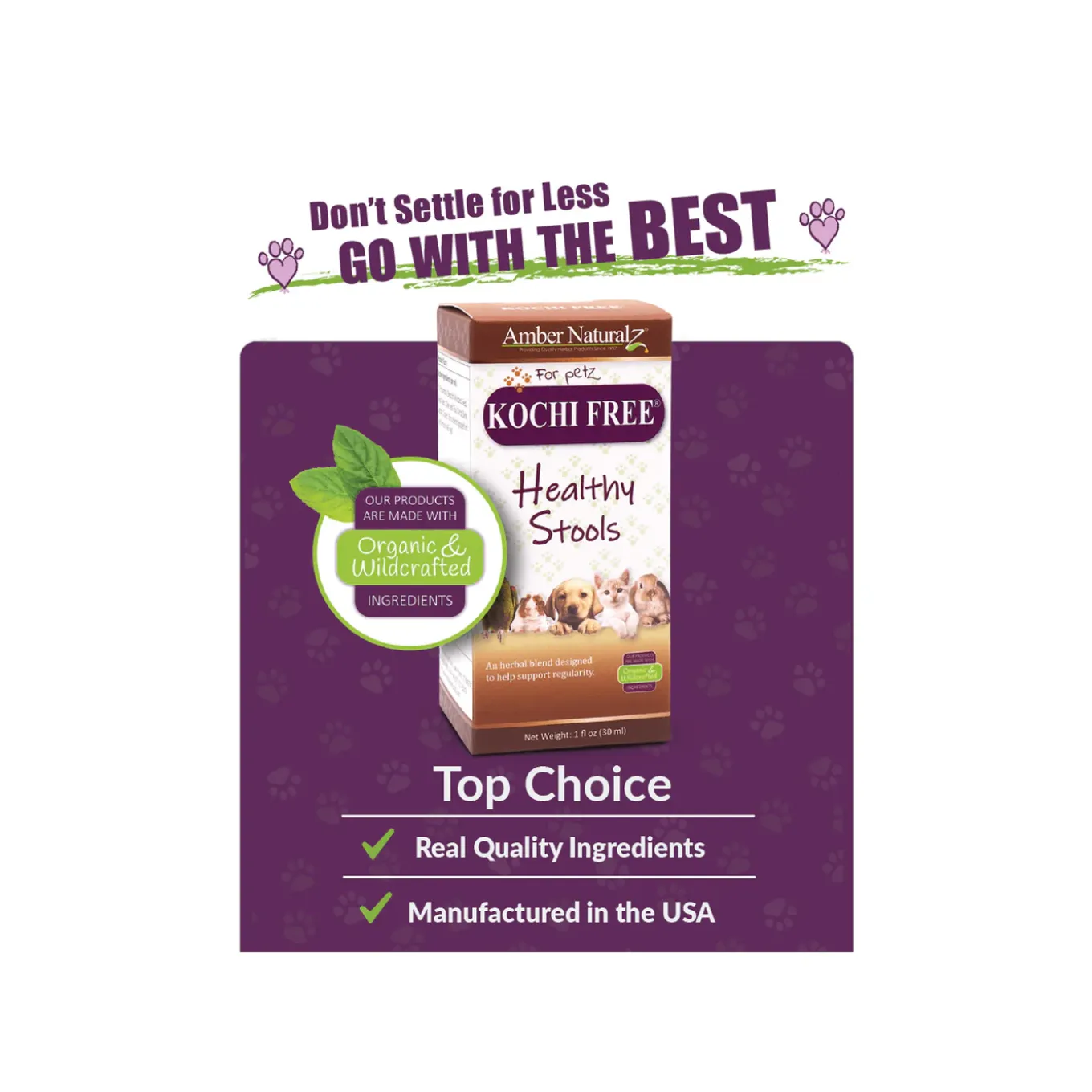 Amber Naturalz Kochi Free GI Support Herbal Liquid Formula for Dogs & Cats
