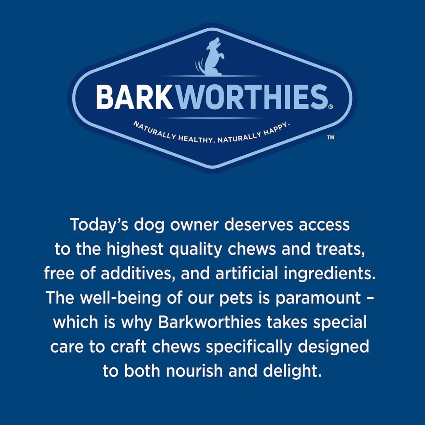 Barkworthies Daily Health Boost Collagen Beef Sticks for Dogs