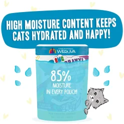 Best Feline Friend BFF Oh My Gravy! Grain-Free Wet Cat Food Pouches