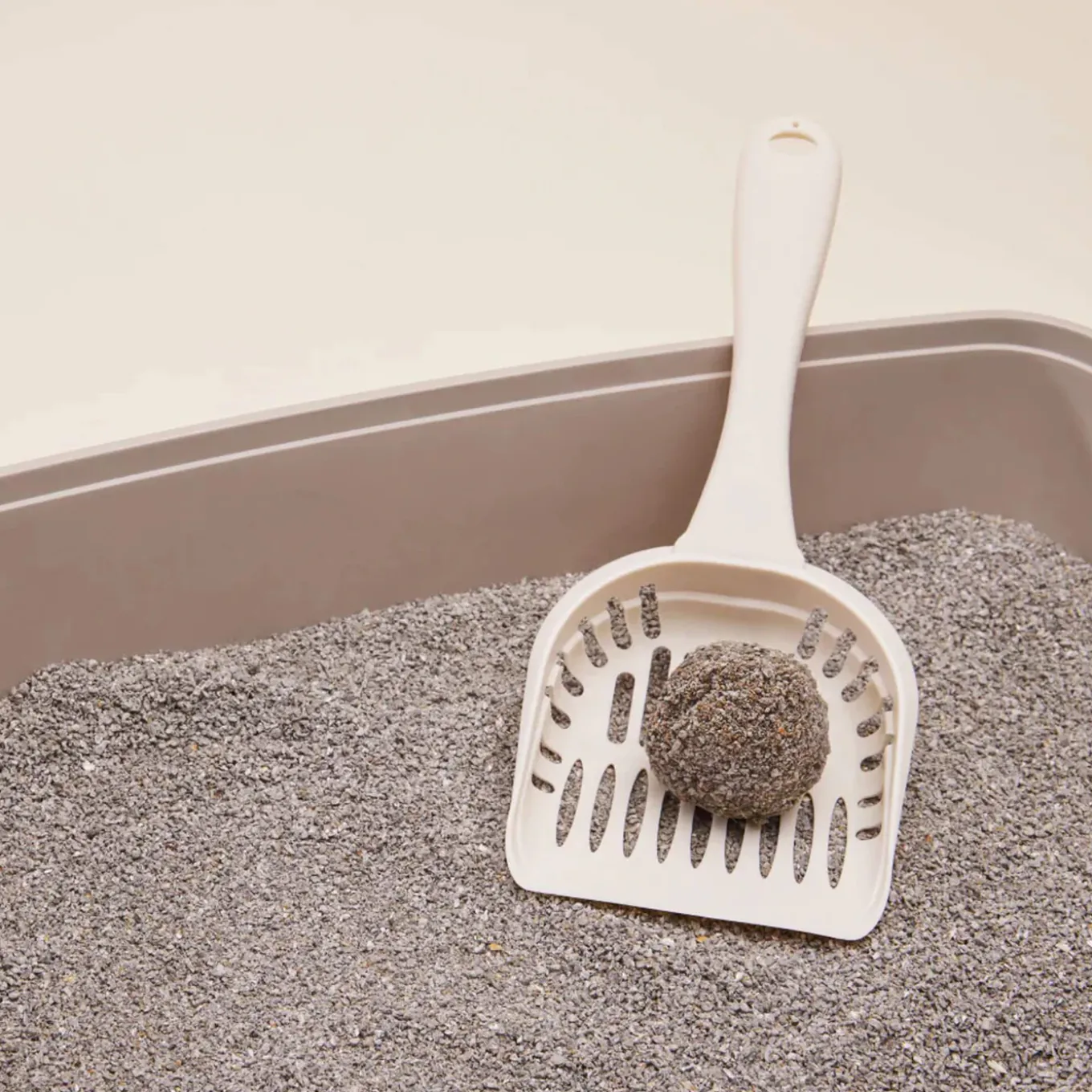 Boxiecat Air Unscented Lightweight Plant-Based Cat Litter