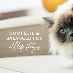 Feline Natural Grain-Free Cat Pouches