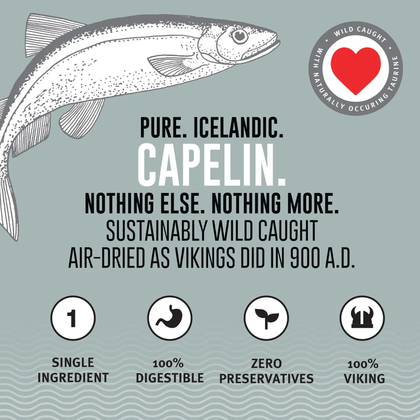 Icelandic+ Capelin Whole Fish & Pieces Dog Treats