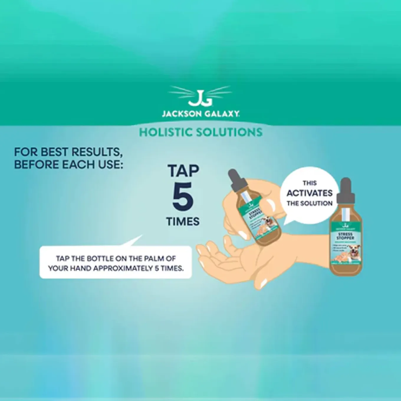 Jackson Galaxy Separation Anxiety Solution