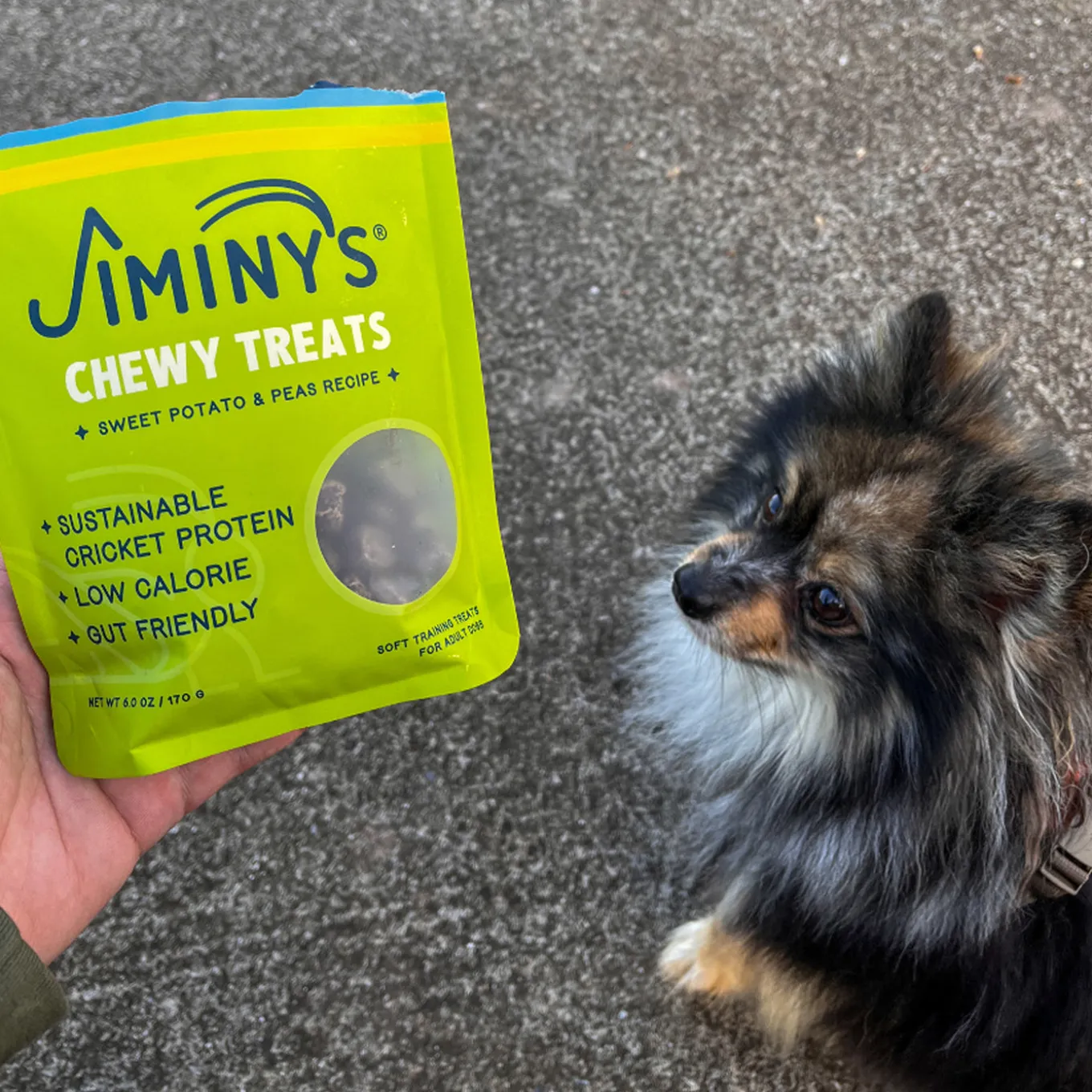 Jiminy's Chewy Treats for Dogs