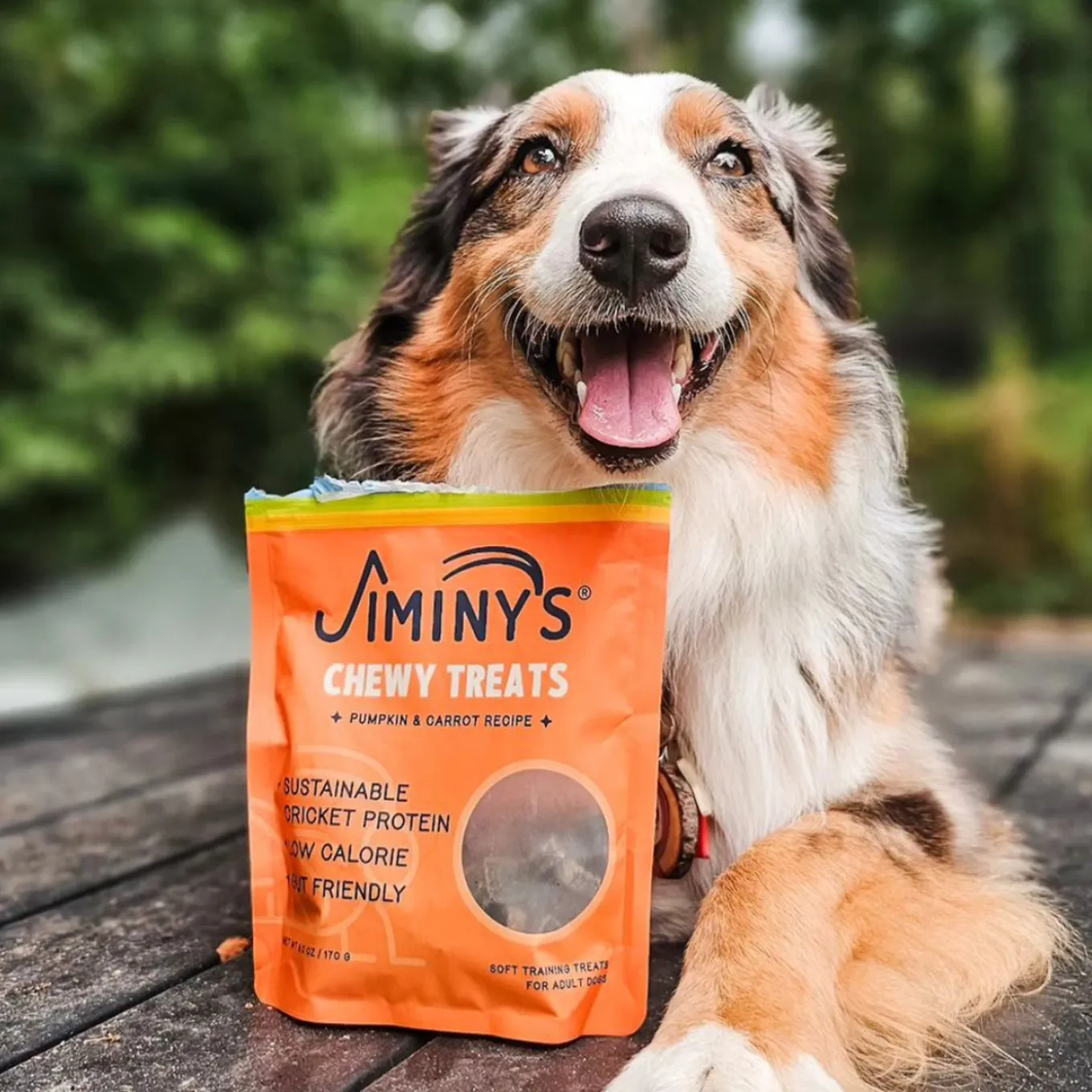 Jiminy's Chewy Treats for Dogs