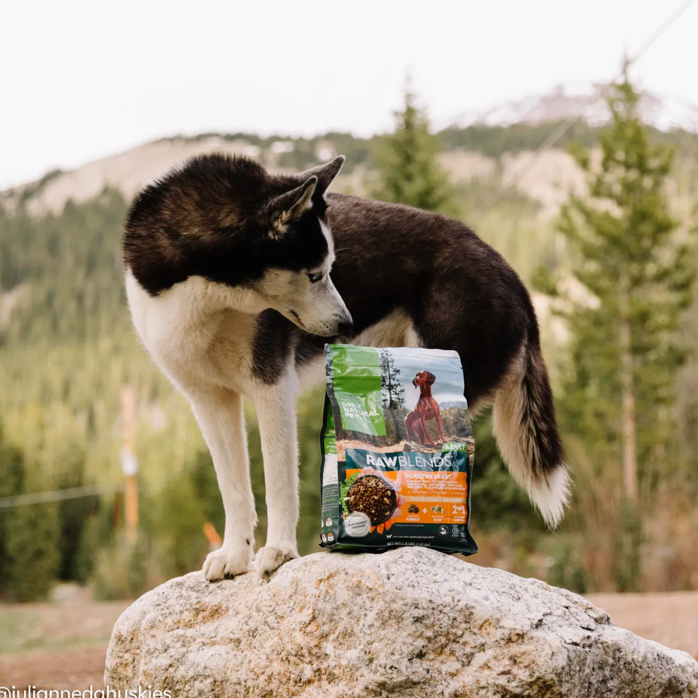 Only Natural Pet Raw Blends Grain Free Raw Dog Food