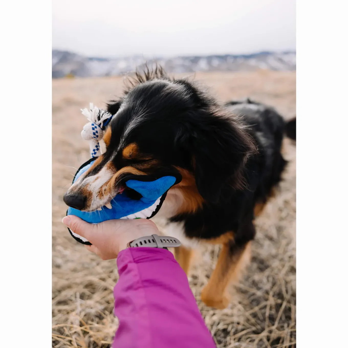 Only Natural Pet Sea Creatures Recycled Plush Dog Toys