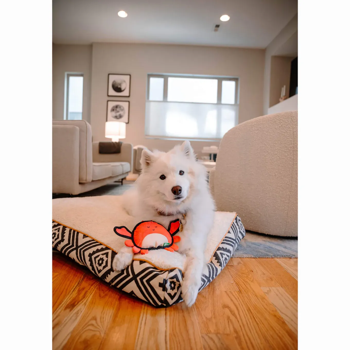 Only Natural Pet Sea Creatures Recycled Plush Dog Toys