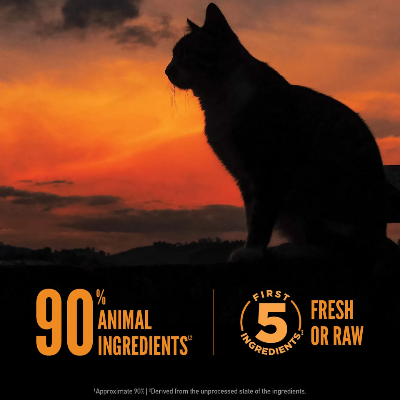 Orijen Grain Free Wild Reserve Dry Cat Food