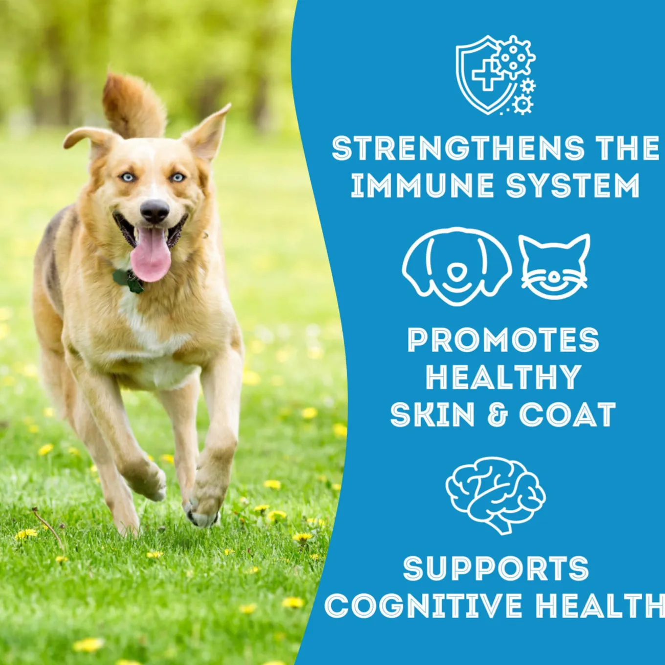 Pet Treatery Premium Dehydrated Dog Treats