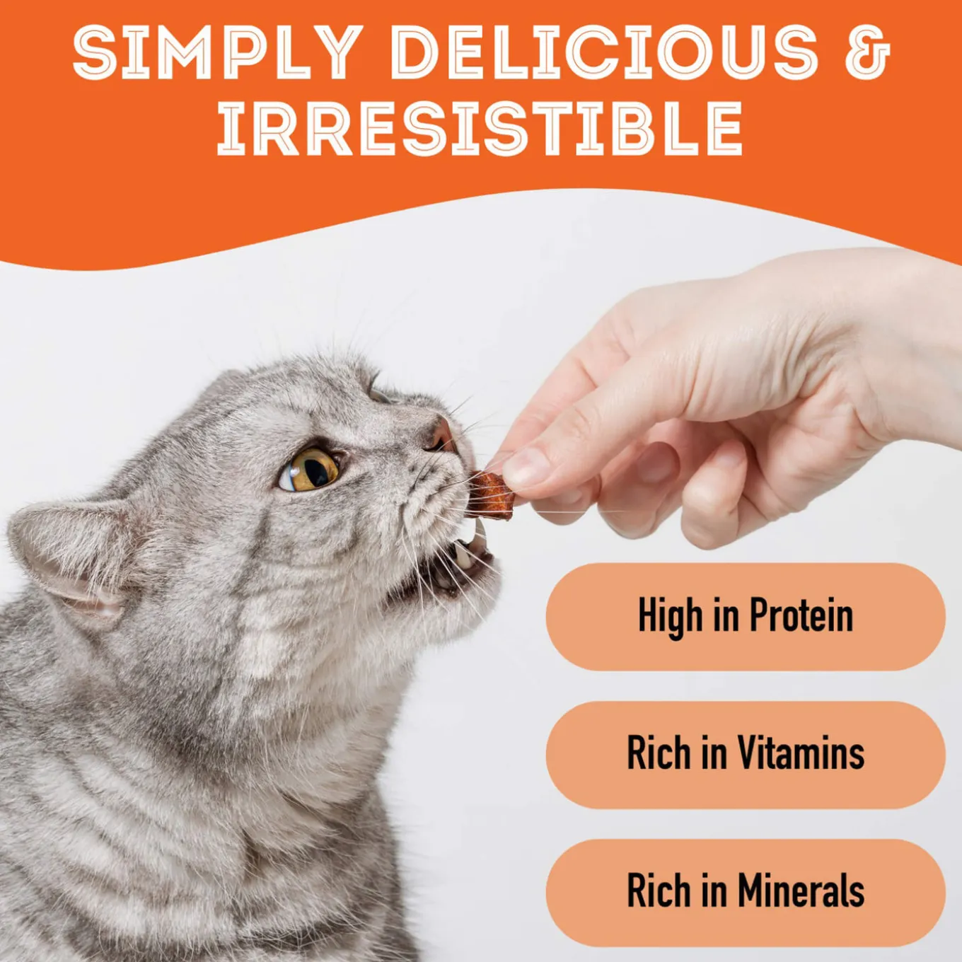 Pet Treatery Premium Dehydrated Dog Treats