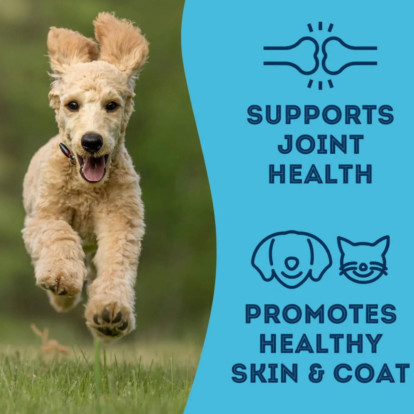 Pet Treatery Premium Dehydrated Dog Treats