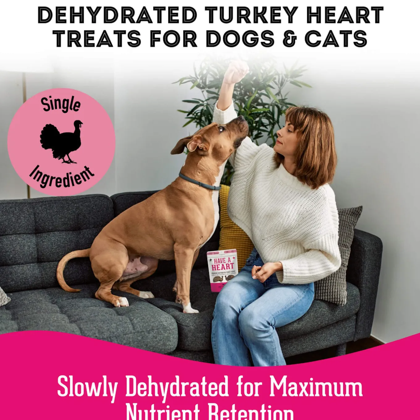 Pet Treatery Premium Dehydrated Dog Treats