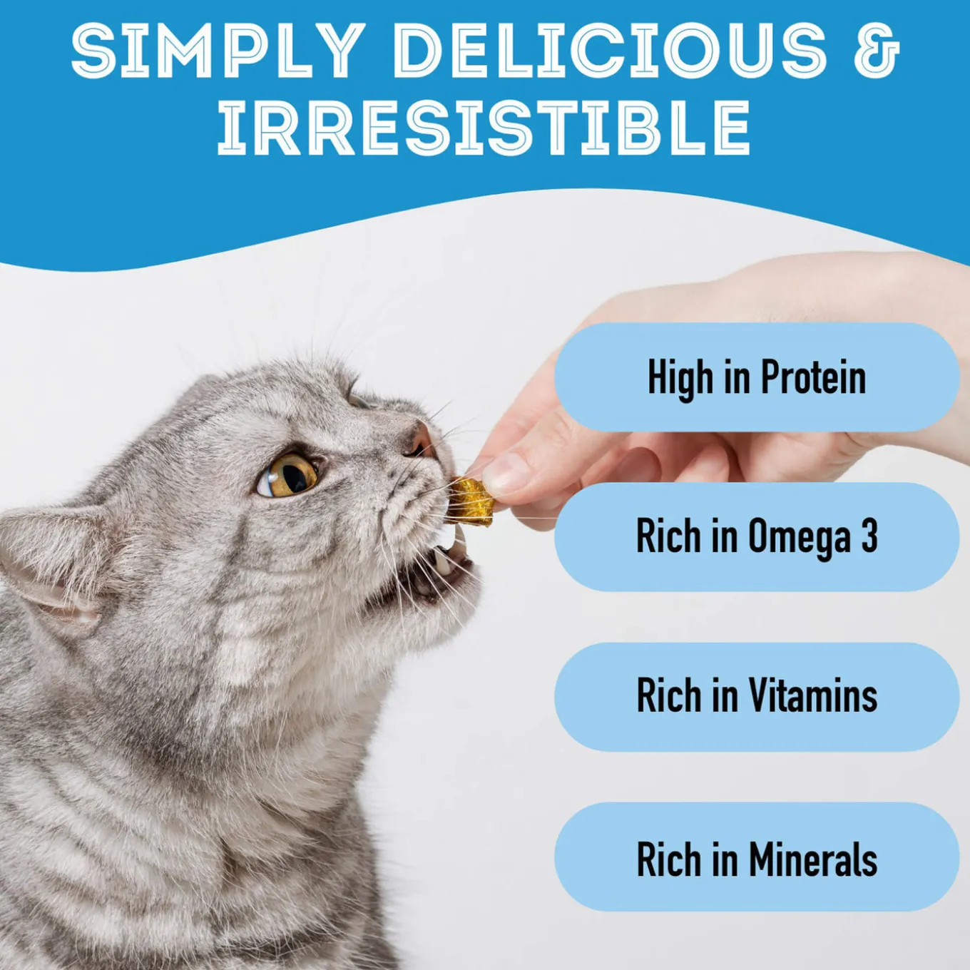 Pet Treatery Premium Dehydrated Dog Treats