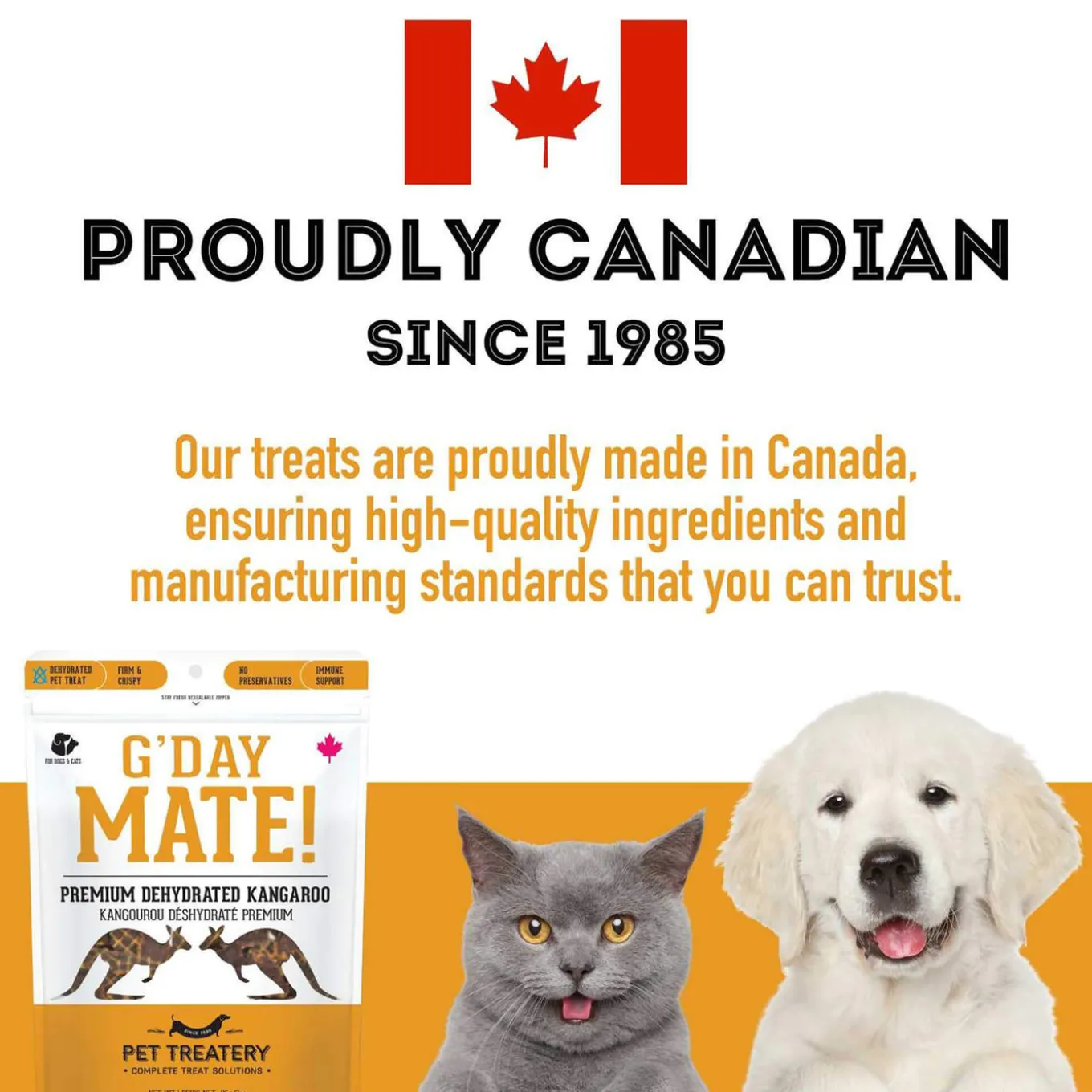 Pet Treatery Premium Dehydrated Dog Treats