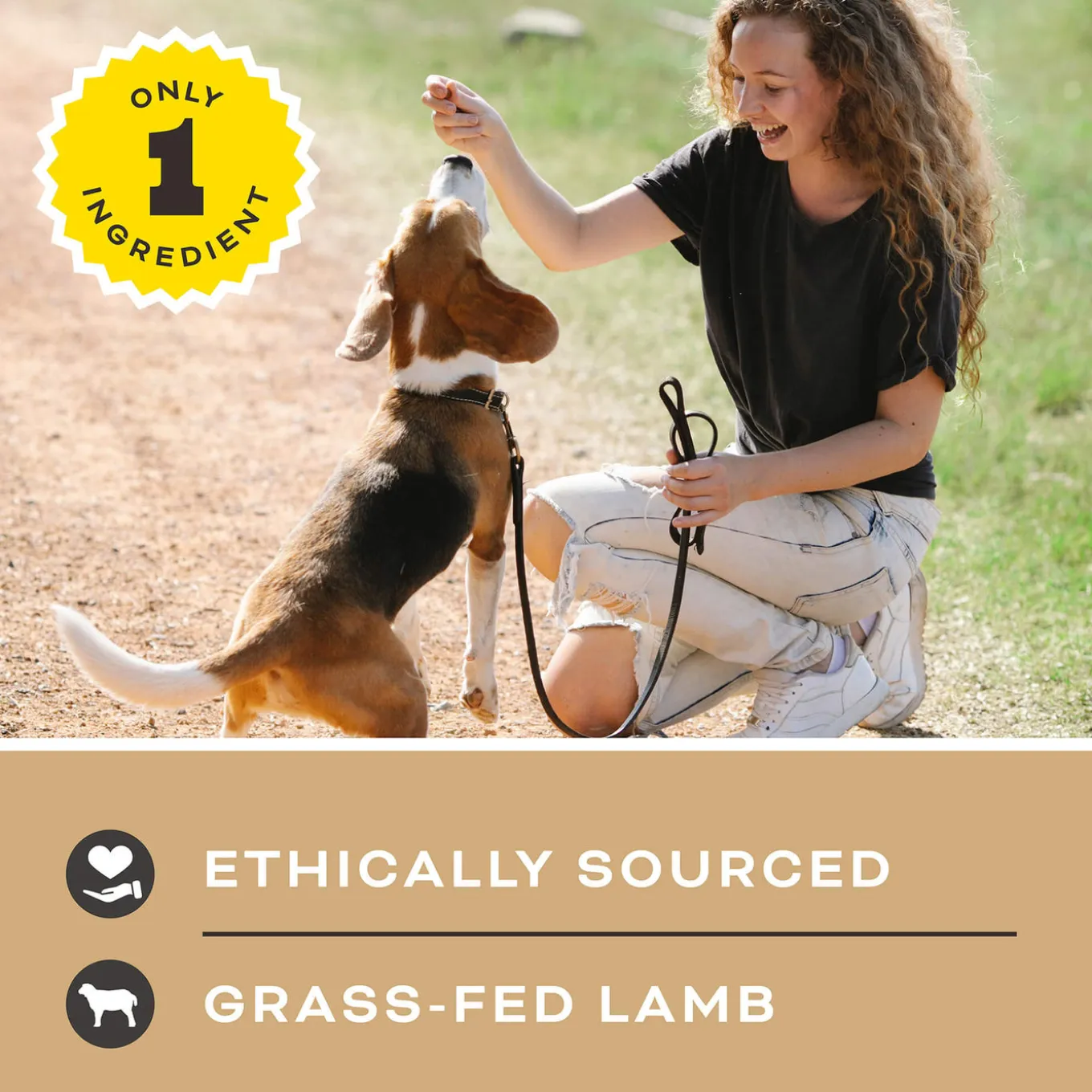 Primal Pet Foods Single Ingredient Dog Treats
