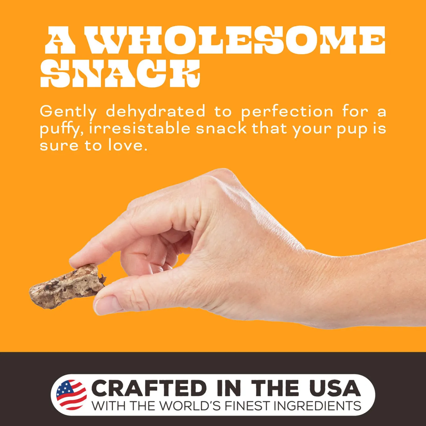 Primal Pet Foods Single Ingredient Dog Treats