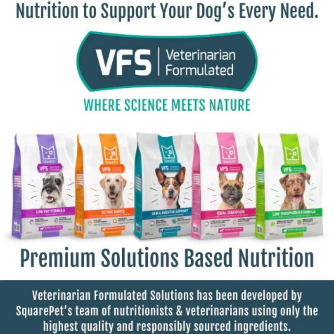 Square Pet VFS Low Fat Formula Dry Dog Food