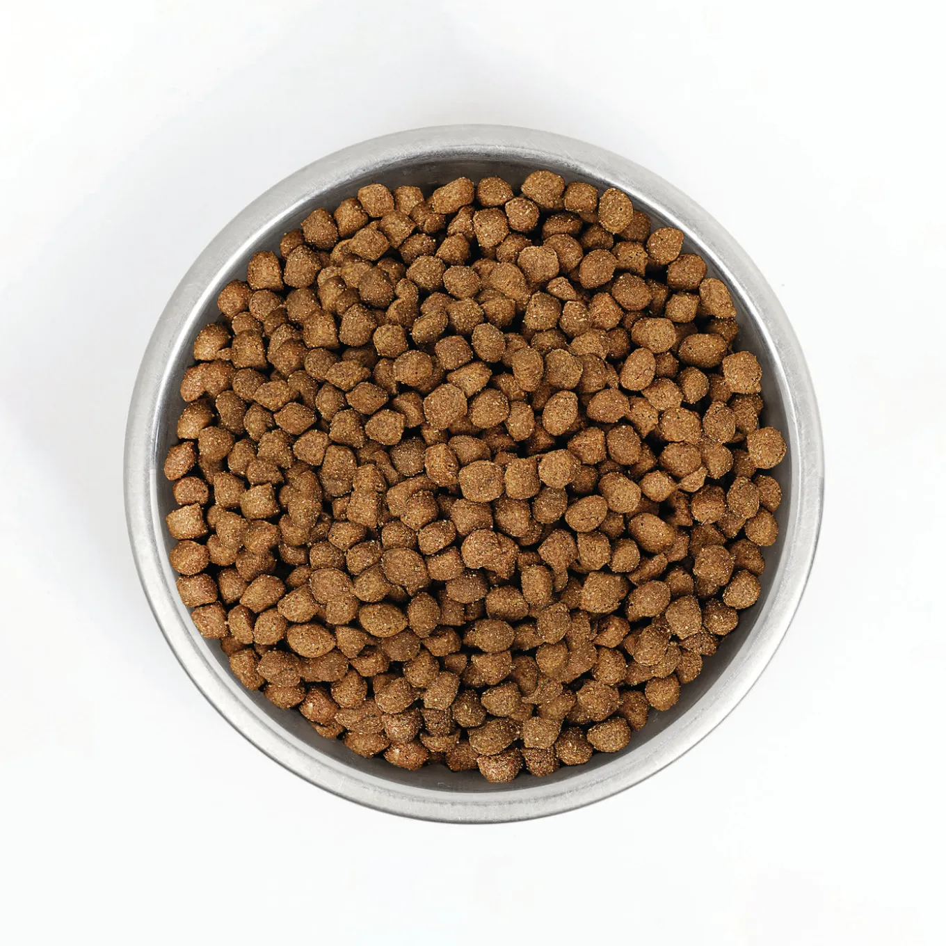 Stella & Chewy's Wild Red Raw Coated Wholesome Grains Dry Dog Food