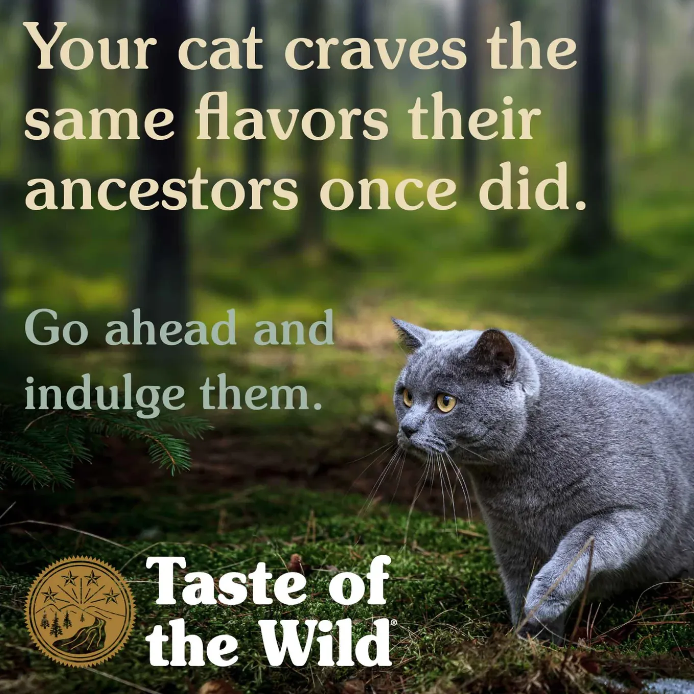 Taste of the Wild Grain-Free Dry Cat Food