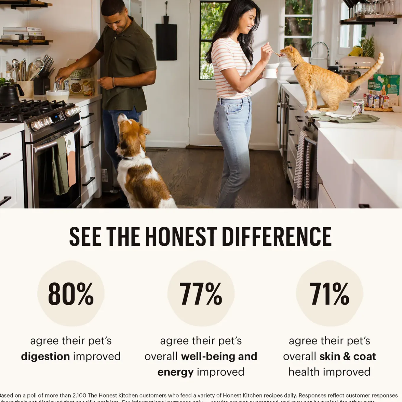 The Honest Kitchen Grain Free Dehydrated Cat Food