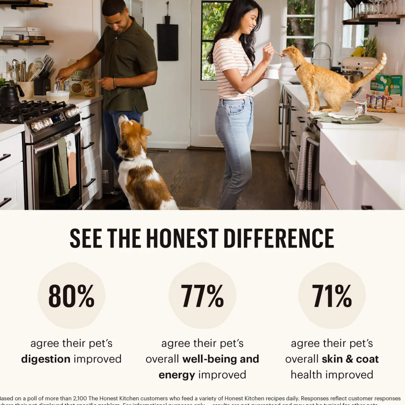The Honest Kitchen Wholemade Gourmet Grains Dehydrated Dog Food