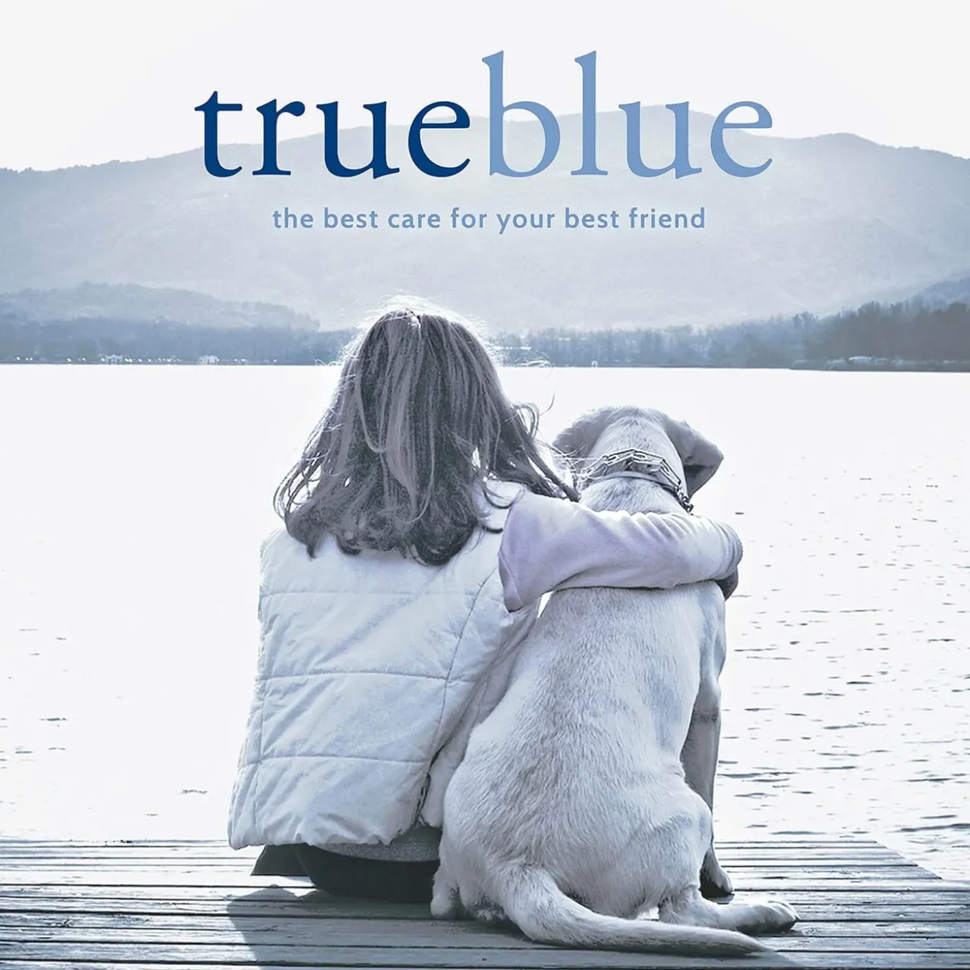 TrueBlue Fast & Fresh Dental Swipes