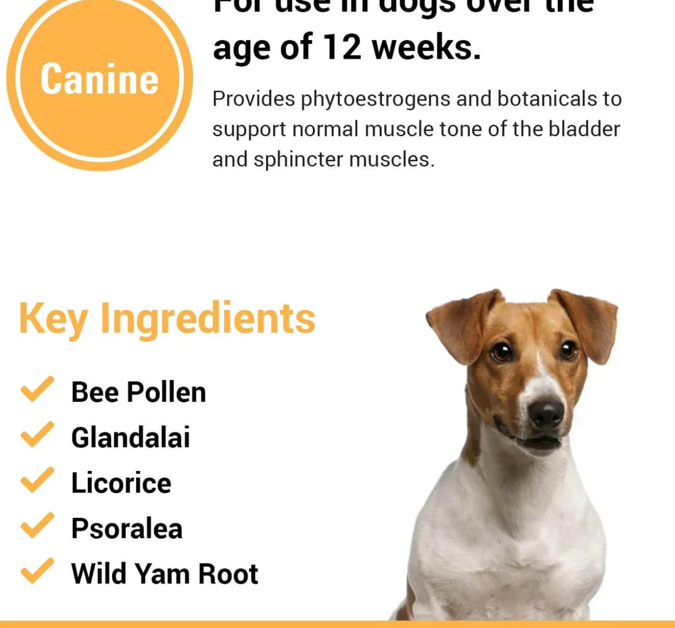 VetClassics Incontinence Formula