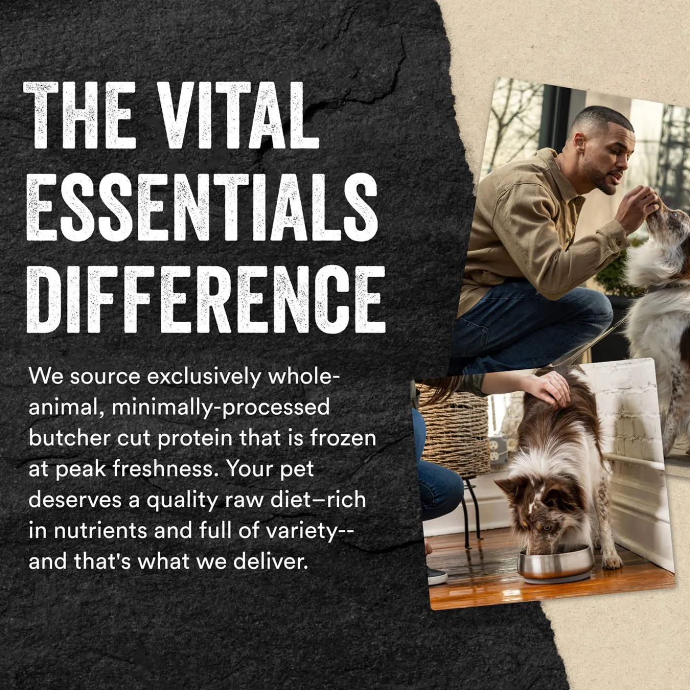 Vital Essentials Freeze-Dried Raw Treats for Dogs