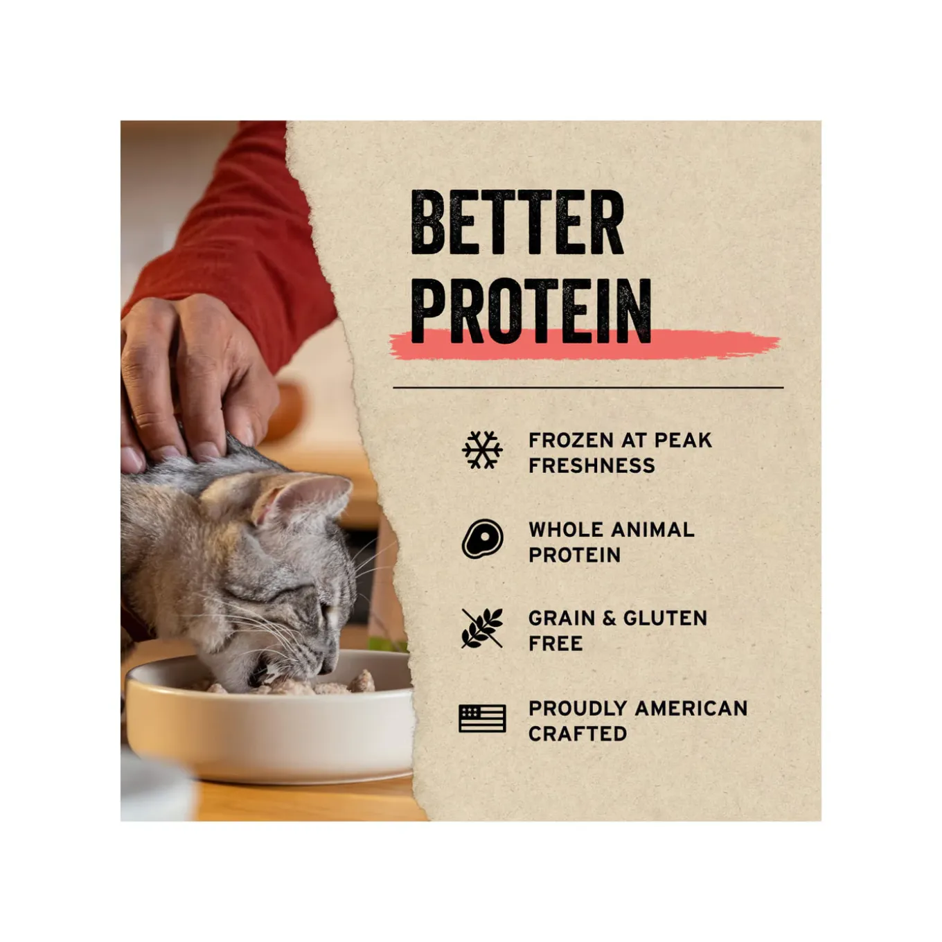 Vital Essentials Raw Freeze-Dried Mini Nibs Entree for Cats