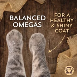Wholesomes Dry Cat Food for Cats & Kittens