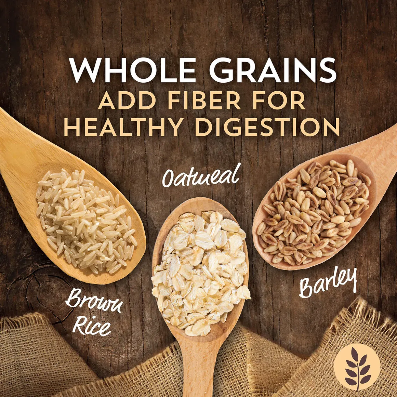 Wholesomes Sensitive Skin & Stomach Dry Cat Food