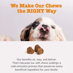 Zesty Paws Hip & Joint Bites for Dogs